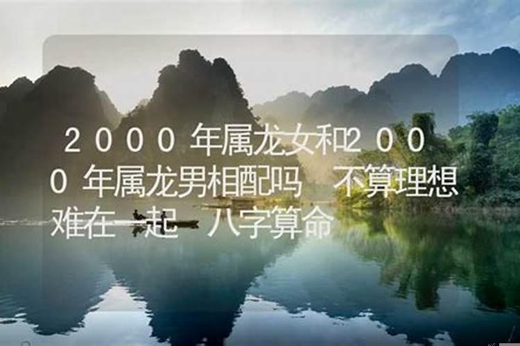 2000年金龙和什么最配