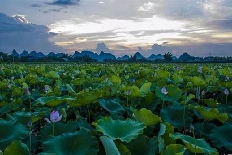 家里放什么东西破风水呢