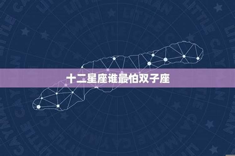 双子座远离什么星座