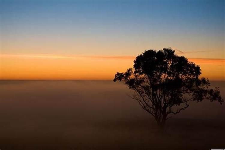 犯太岁破财能免灾吗