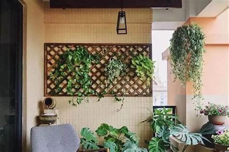 别墅庭院适合栽种什么树