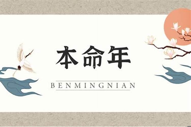 女的本命年需要什么