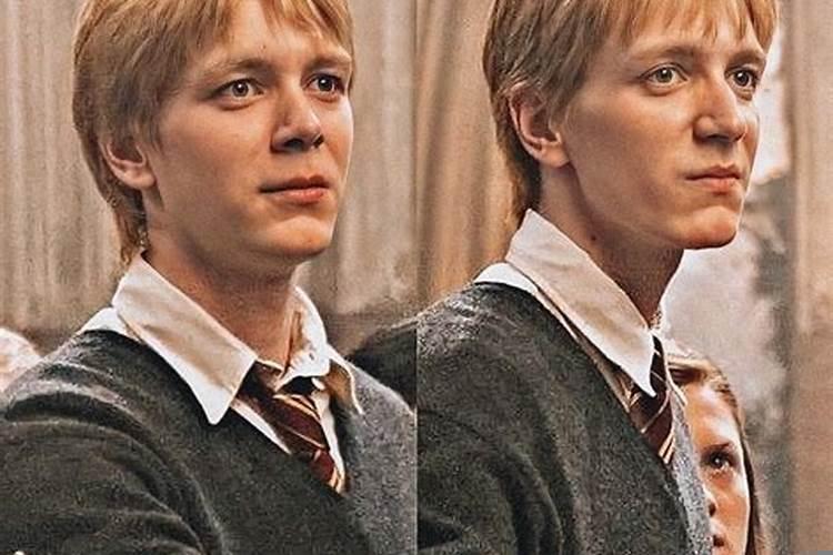 哈利波特里的双子是两个人吗
