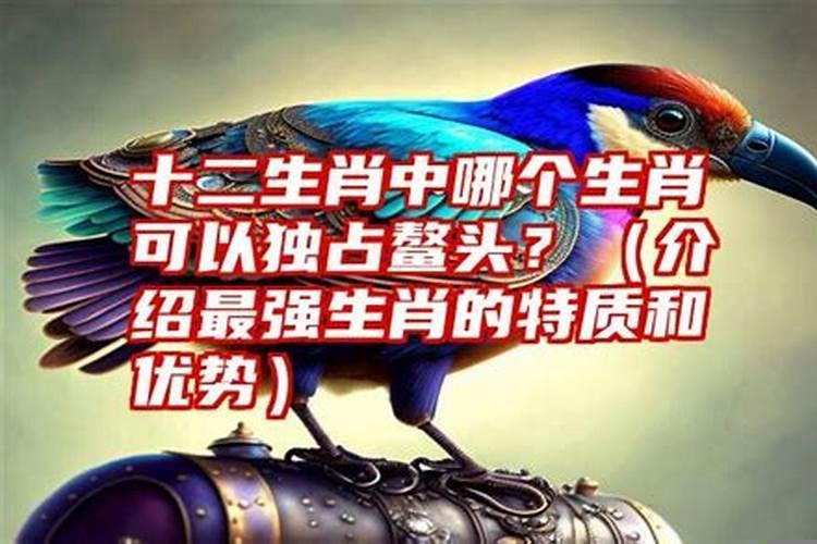 独占鳌头十二生肖