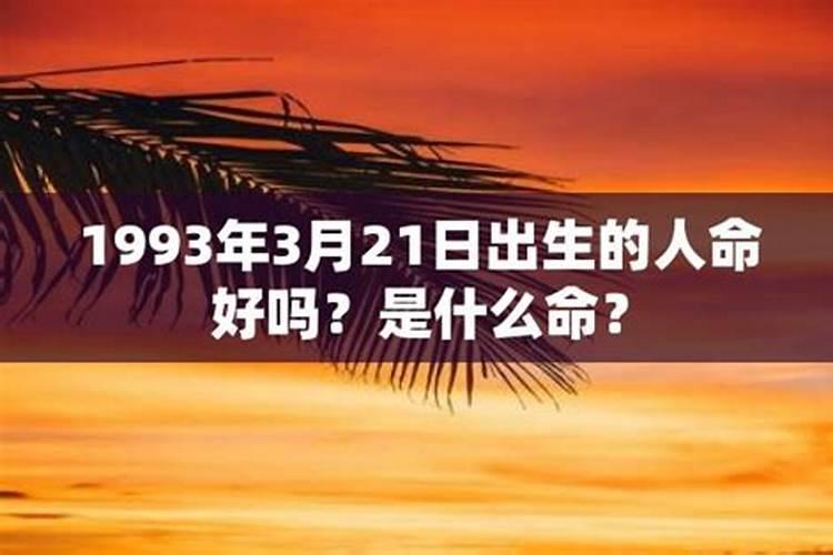 1993年出生的吗