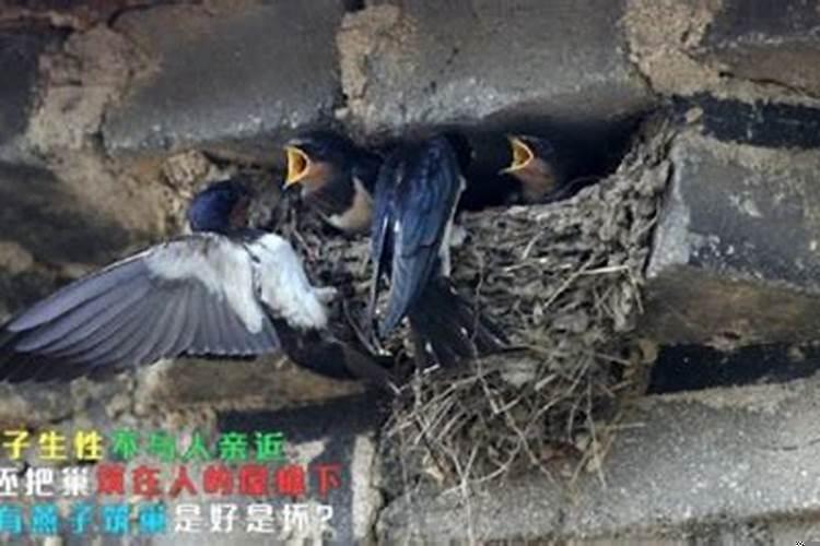 买房哪些楼层不适合买