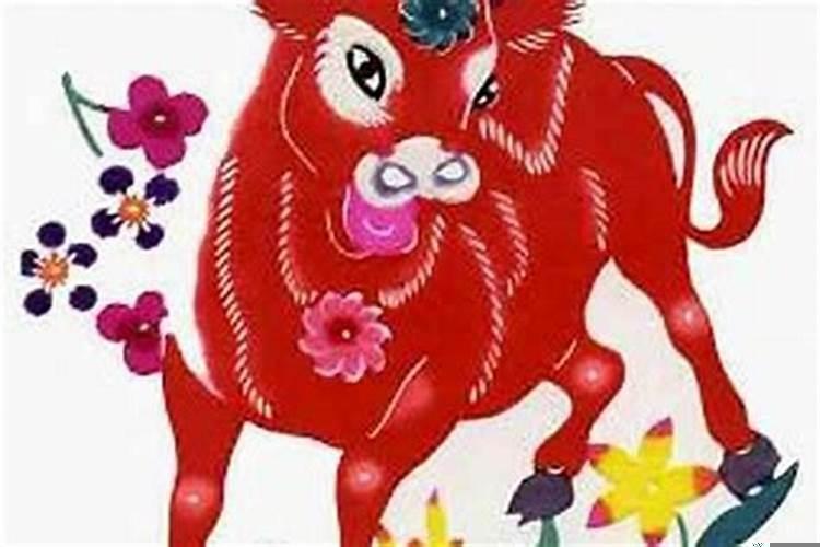 狗与牛生肖婚配怎么样?