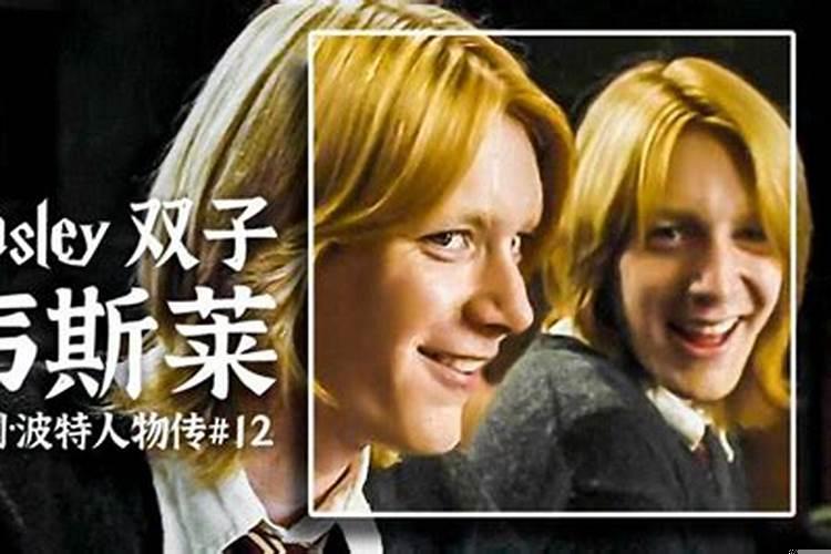 哈利波特里的双子是两个人吗