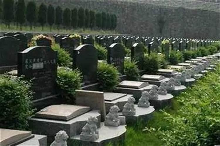 墓地风水十大忌详细说明