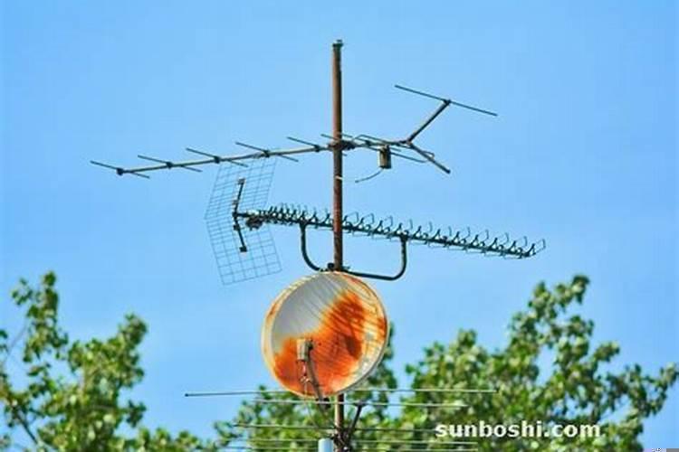 梦见我哥开车翻车了