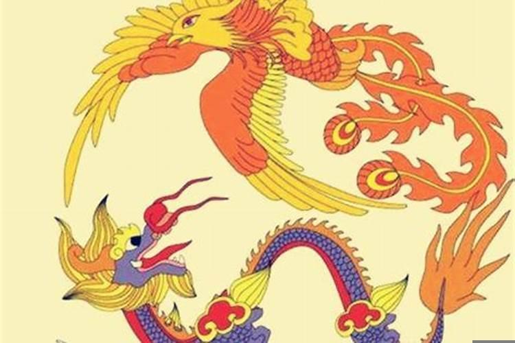 属龙的和属马的合财吗