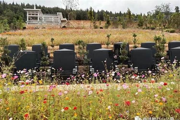 墓前有什么讲究吗