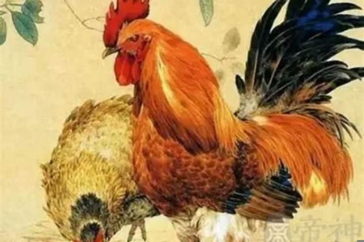 69年属鸡的今年的财运