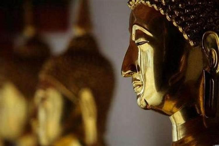 改变命运的努力谈何容易