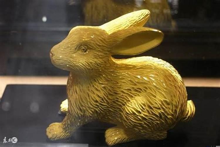 属兔人虎年运势2022