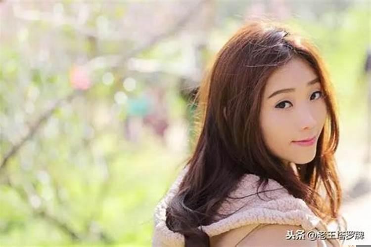 狮子男被抛弃后各种报复