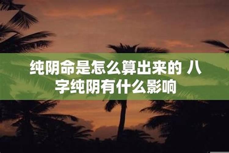 怎么算纯阴命