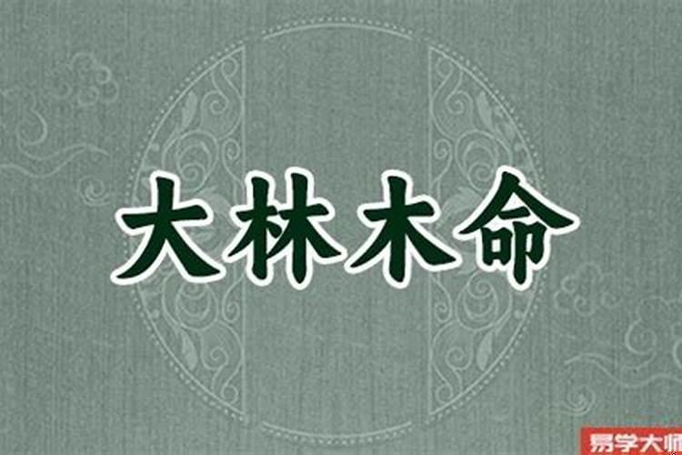 大林木与剑锋金命