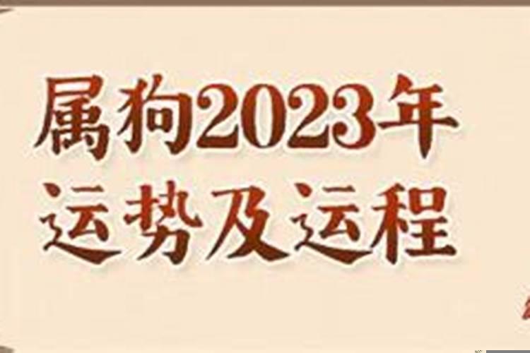 82年男属狗2022年的运势