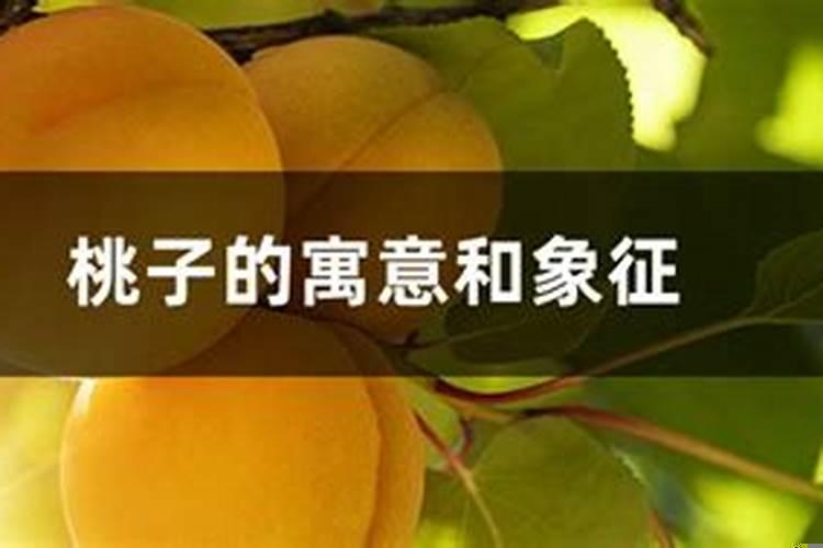 采桃子是什么寓意呢
