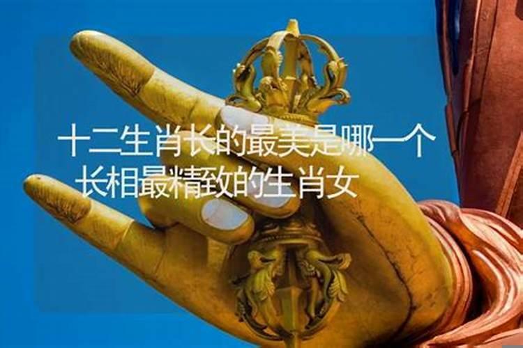 十二生肖女漂亮指数