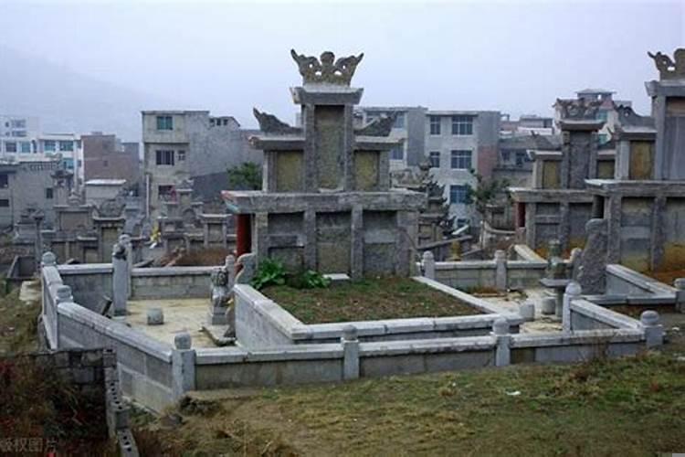 农村的坟地有什么政策