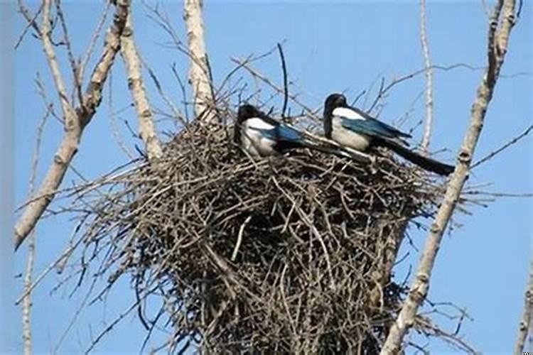客厅太小怎么利用空间布置