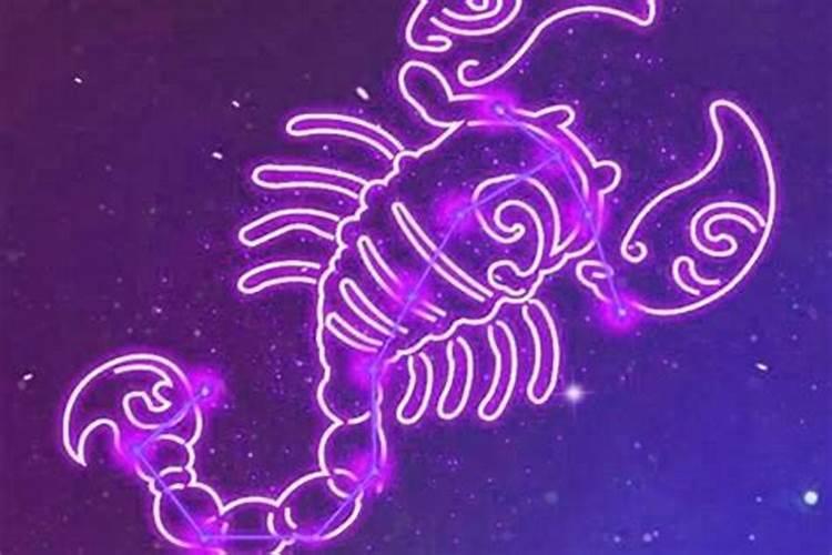 天蝎的恋爱重视什么