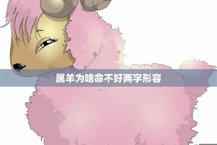 生肖羊的女孩命好吗