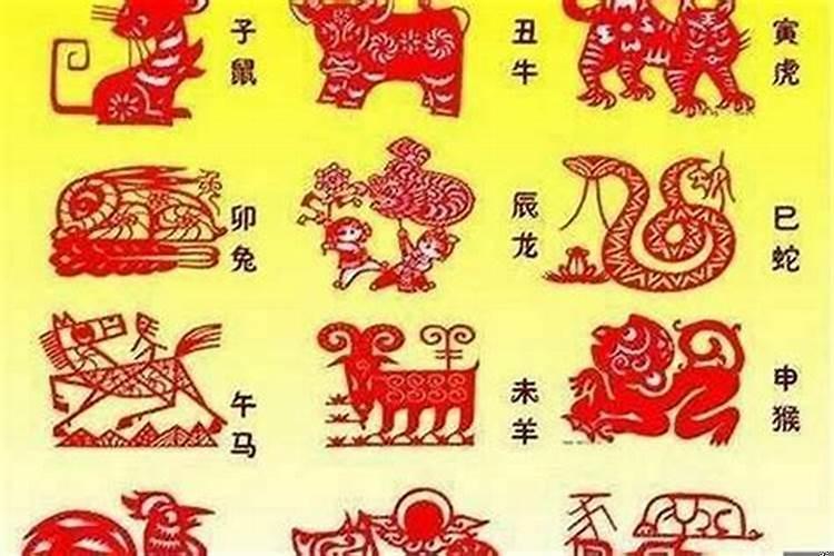 2025年属什么生肖是什么命