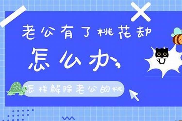 怎么破老公的桃花劫