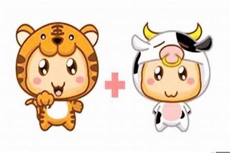属虎和属牛合不合得来