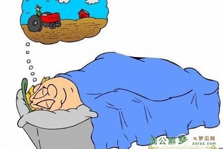 什么时候做的梦不准