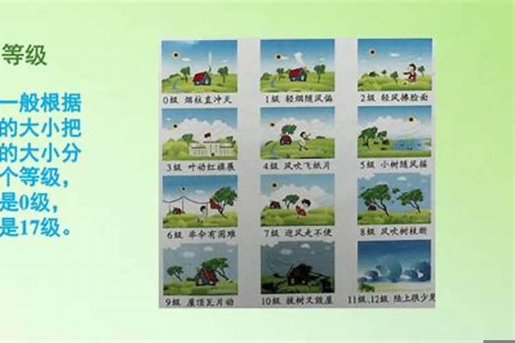 怎样判断风力大小的方法