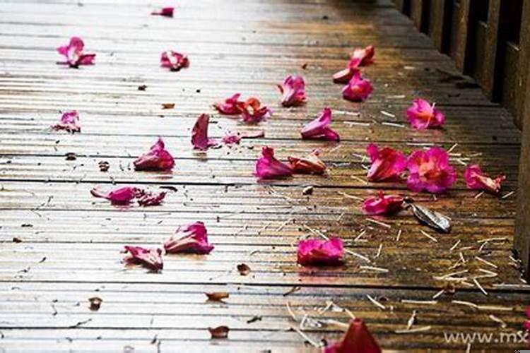 做梦梦到棺材打开了