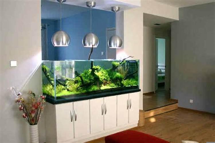 客厅鱼缸摆放位置风水禁忌