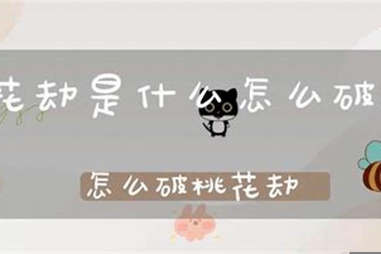 怎么破老公的桃花劫