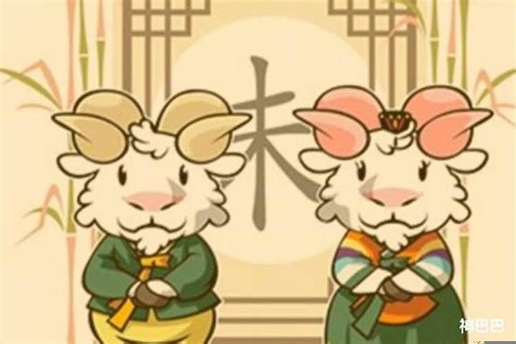 属羊的今年多大55年的羊