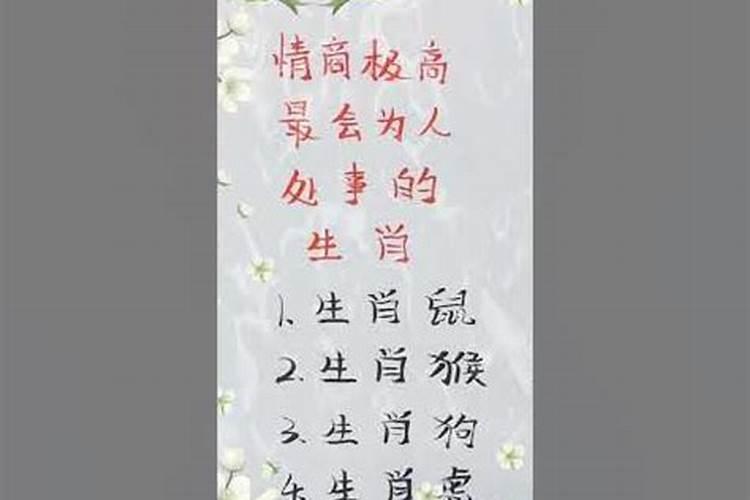 不会做人的生肖