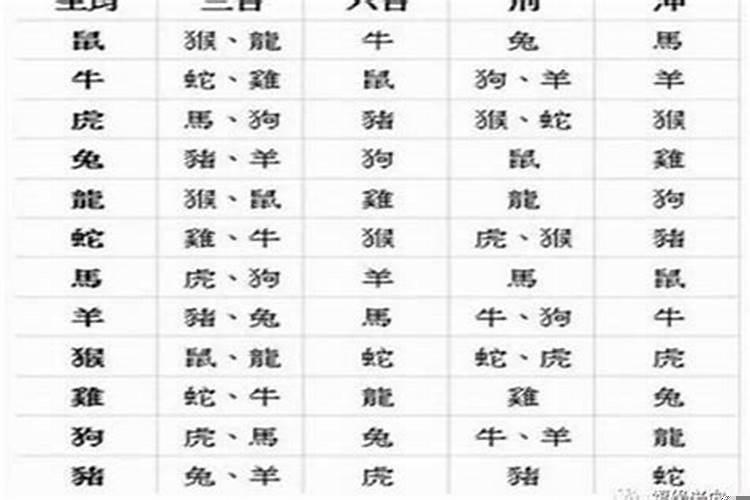 属马的和什么属相婚姻最配