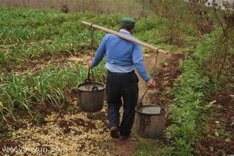 梦见挖粪是什么意思周公解梦