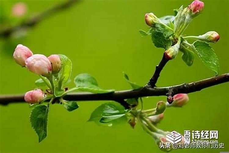 躲春时能睡觉么