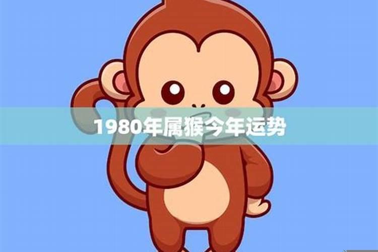 1980年的猴今年的运势怎么样