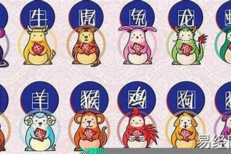 12生肖的运势财运
