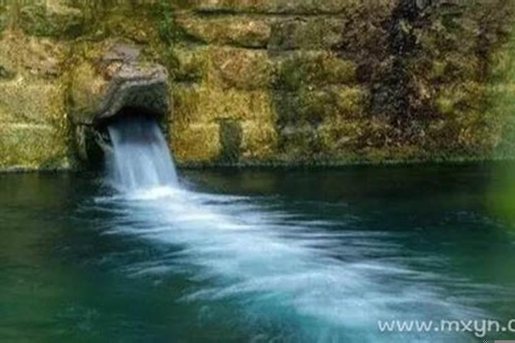 梦见泉水涌出水里有鱼