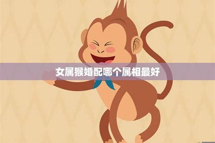 属猴的最佳婚配属相是什么