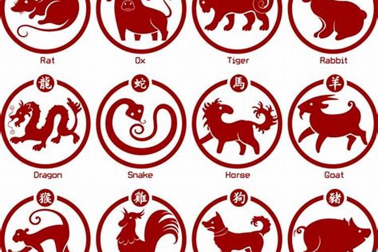 十二生肖今天的爱情运势