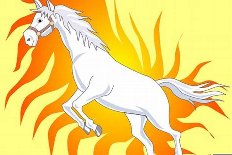 属马的寿命有多长