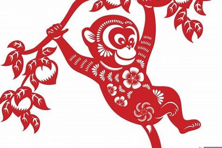 属猴的配什么属相婚姻