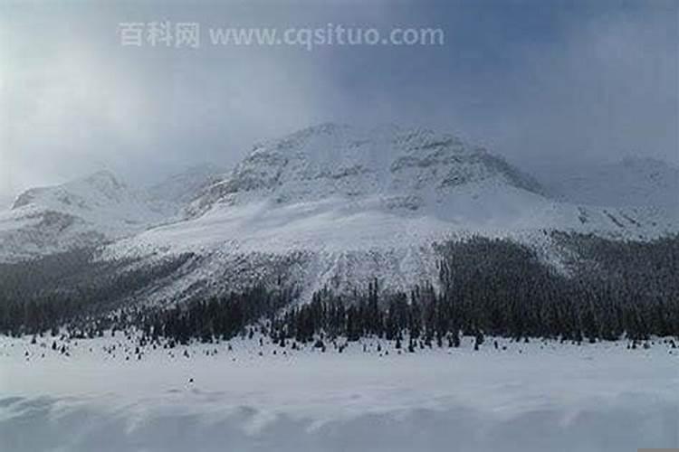 梦见老家的大山到了自家大门口